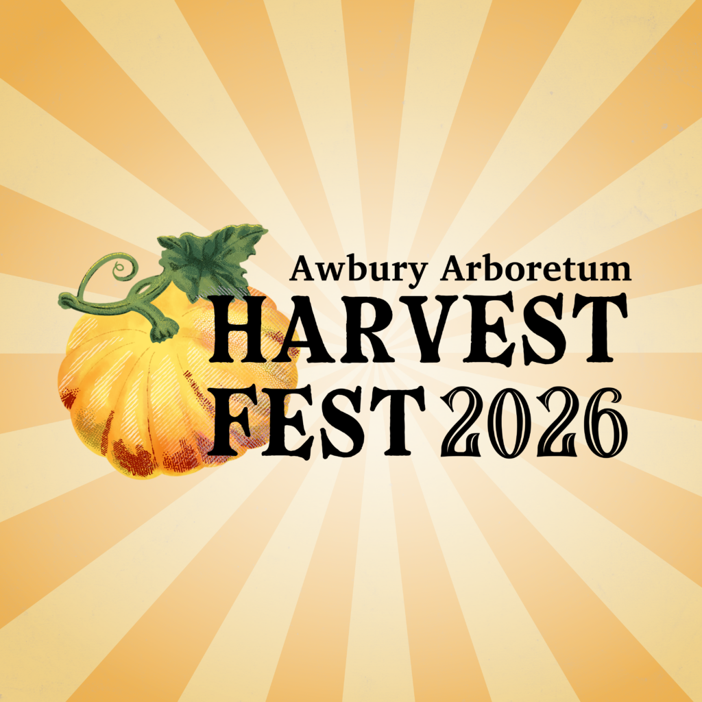 HARVEST FEST 2026